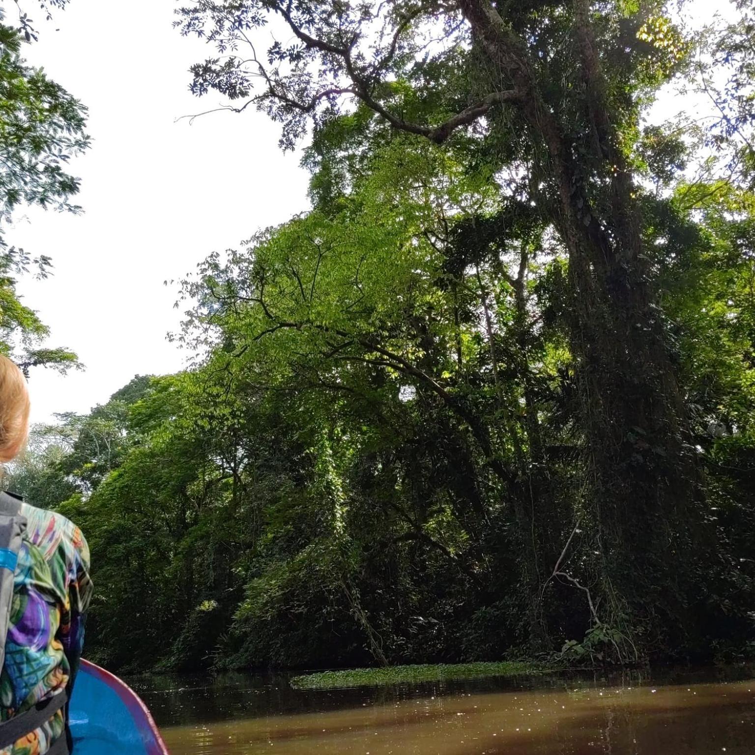Tortuguero Villas Luaran gambar