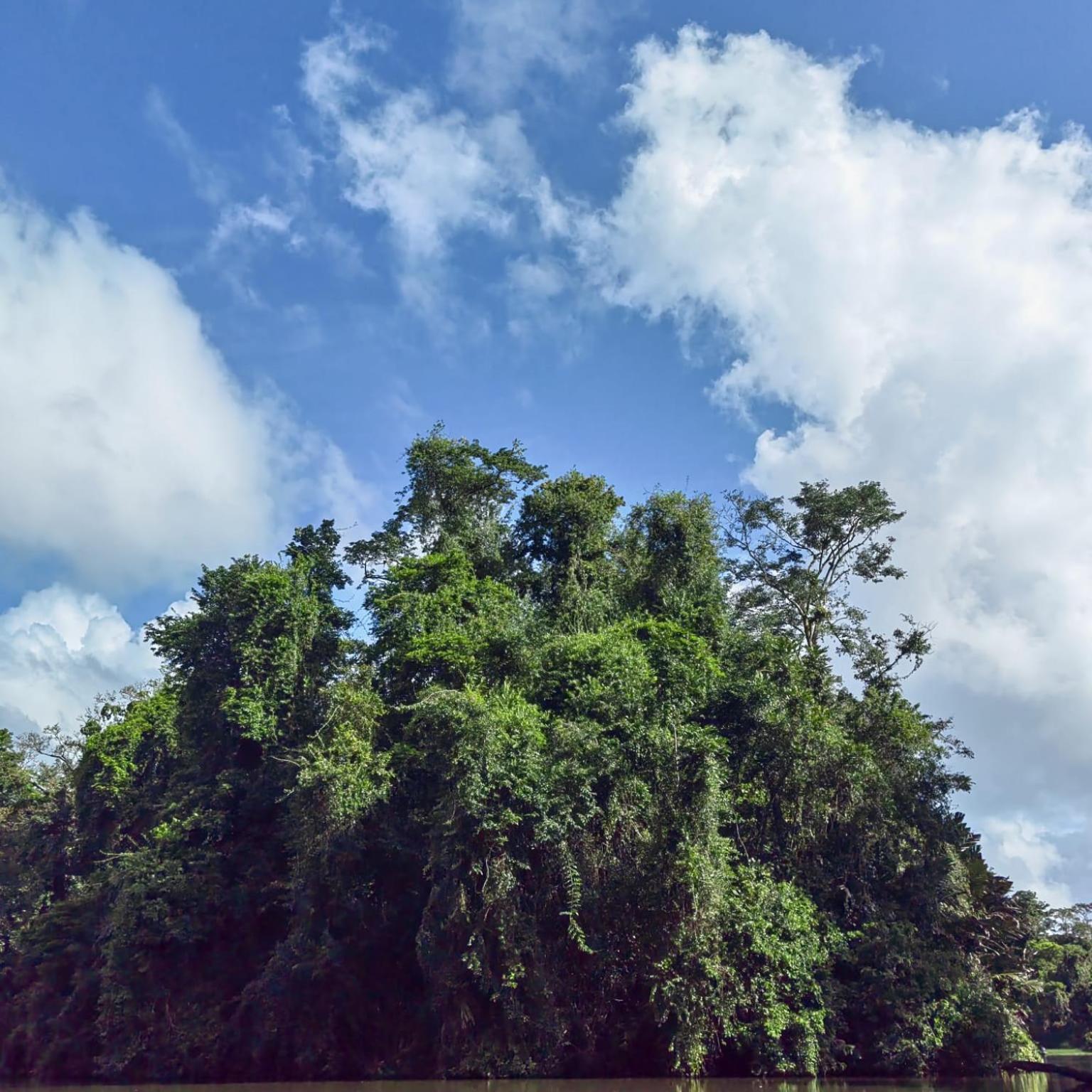 Tortuguero Villas Luaran gambar
