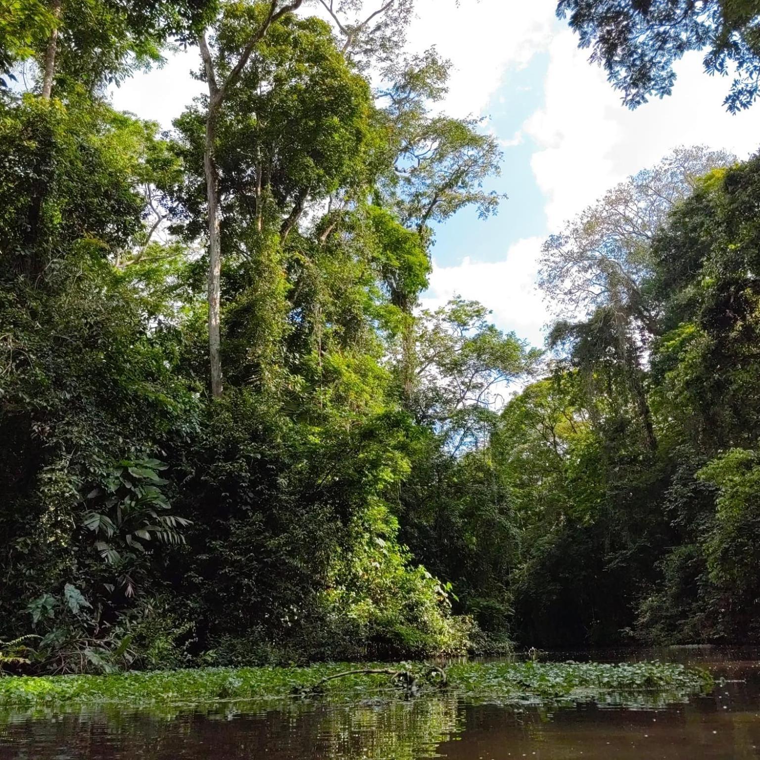 Tortuguero Villas Luaran gambar