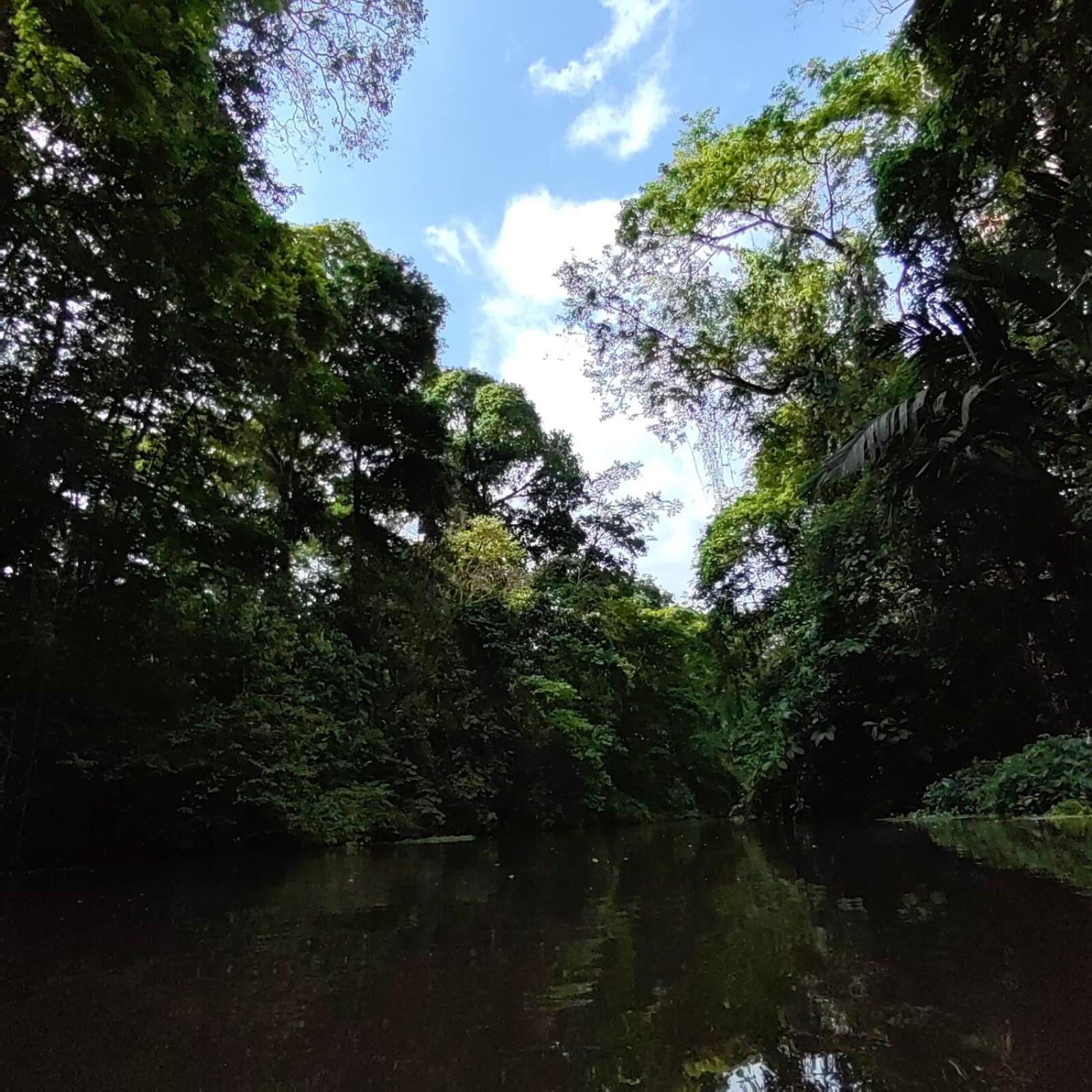 Tortuguero Villas Luaran gambar